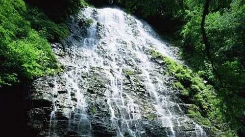 高性能信息化